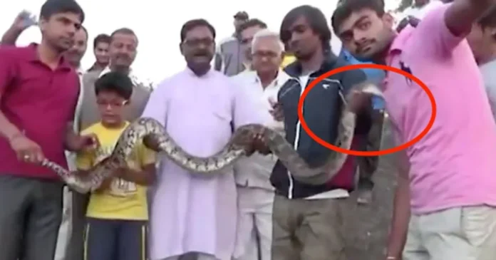 Selfie, Python, Attack, @streetdogsofbombay