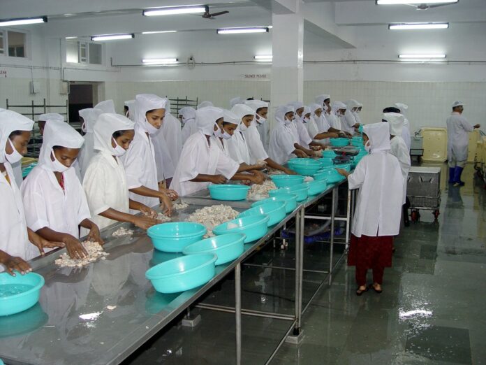 Gujarat marine fish production