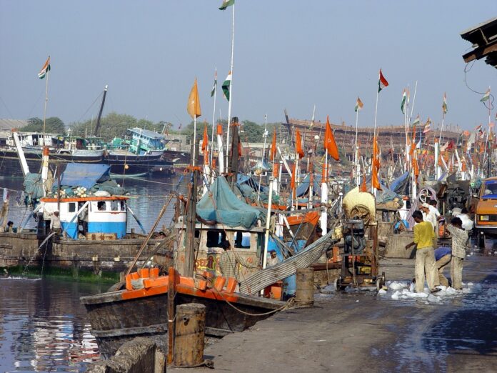 Gujarat marine fisheries